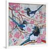 Magpies And Pink Blossoms-null-Framed Premium Giclee Print