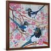 Magpies And Pink Blossoms-null-Framed Premium Giclee Print