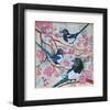 Magpies And Pink Blossoms-null-Framed Art Print
