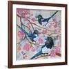 Magpies And Pink Blossoms-null-Framed Art Print