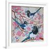 Magpies And Pink Blossoms-null-Framed Art Print