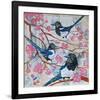 Magpies And Pink Blossoms-null-Framed Art Print