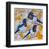 Magpies And Yellow Blossoms-null-Framed Premium Giclee Print