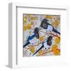 Magpies And Yellow Blossoms-null-Framed Art Print