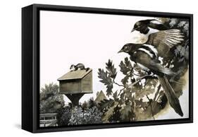 Magpies Watching a Stoat Atop a Bird House-G. W Backhouse-Framed Stretched Canvas