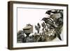 Magpies Watching a Stoat Atop a Bird House-G. W Backhouse-Framed Giclee Print
