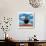 Magritte Cat-Chameleon Design, Inc.-Art Print displayed on a wall