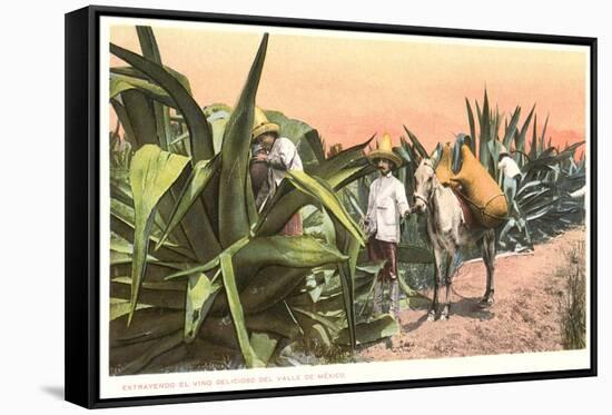 Maguey Juice Harvest-null-Framed Stretched Canvas