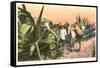 Maguey Juice Harvest-null-Framed Stretched Canvas