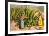 Maguey Plants and Tequila Maker, Mexico-null-Framed Premium Giclee Print