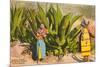 Maguey Plants and Tequila Maker, Mexico-null-Mounted Premium Giclee Print