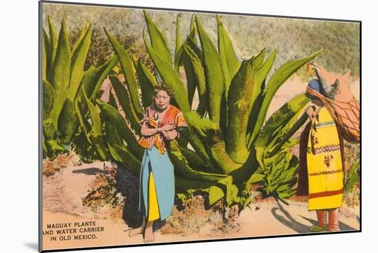 Maguey Plants and Tequila Maker, Mexico-null-Mounted Art Print