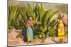 Maguey Plants and Tequila Maker, Mexico-null-Mounted Art Print