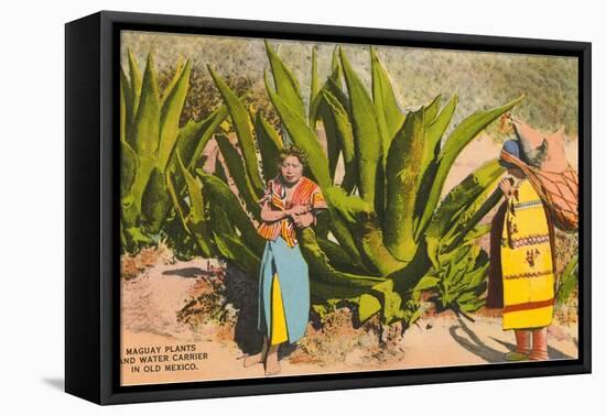 Maguey Plants and Tequila Maker, Mexico-null-Framed Stretched Canvas