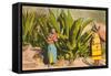 Maguey Plants and Tequila Maker, Mexico-null-Framed Stretched Canvas