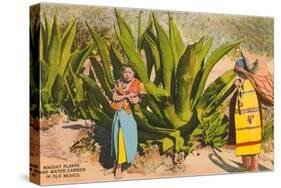 Maguey Plants and Tequila Maker, Mexico-null-Stretched Canvas
