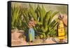 Maguey Plants and Tequila Maker, Mexico-null-Framed Stretched Canvas