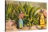 Maguey Plants and Tequila Maker, Mexico-null-Stretched Canvas