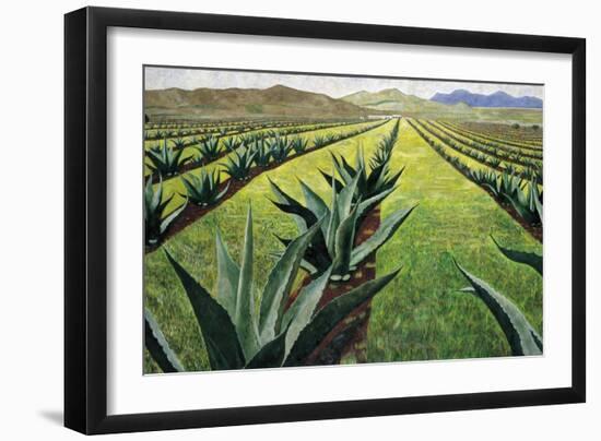 Maguey Plants with Cloudy Sky, 1999-Pedro Diego Alvarado-Framed Giclee Print