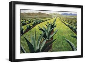 Maguey Plants with Cloudy Sky, 1999-Pedro Diego Alvarado-Framed Giclee Print