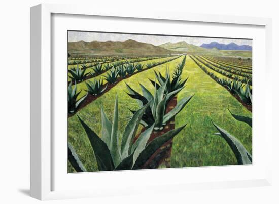 Maguey Plants with Cloudy Sky, 1999-Pedro Diego Alvarado-Framed Giclee Print