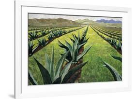 Maguey Plants with Cloudy Sky, 1999-Pedro Diego Alvarado-Framed Giclee Print