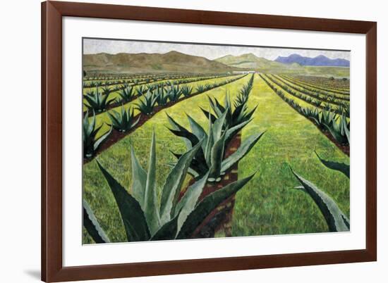 Maguey Plants with Cloudy Sky, 1999-Pedro Diego Alvarado-Framed Giclee Print