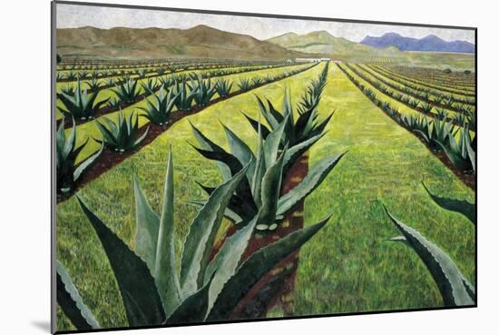 Maguey Plants with Cloudy Sky, 1999-Pedro Diego Alvarado-Mounted Premium Giclee Print