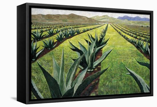 Maguey Plants with Cloudy Sky, 1999-Pedro Diego Alvarado-Framed Stretched Canvas