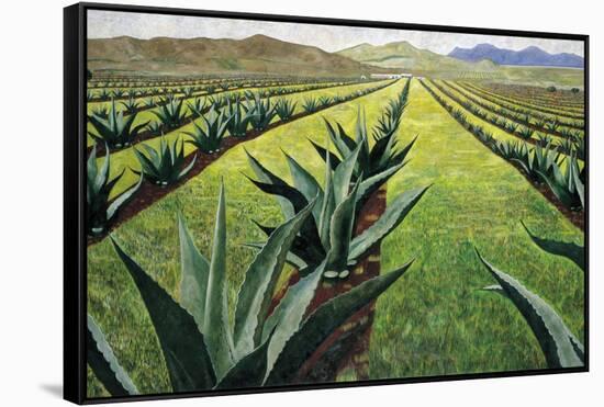 Maguey Plants with Cloudy Sky, 1999-Pedro Diego Alvarado-Framed Stretched Canvas