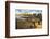 Mahai'ula Beach, Big Island, Hawaii, USA-Christian Kober-Framed Photographic Print