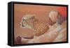 Maharaja, Boy and Cheetah 2-Lincoln Seligman-Framed Stretched Canvas