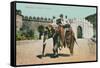 Maharaja's Elephant, Jaipur, India-null-Framed Stretched Canvas