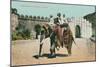 Maharaja's Elephant, Jaipur, India-null-Mounted Art Print