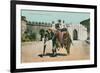 Maharaja's Elephant, Jaipur, India-null-Framed Art Print