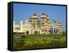 Maharaja's Palace, Mysore, Karnataka, India, Asia-Tuul-Framed Stretched Canvas