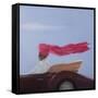 Maharajah at Speed-Lincoln Seligman-Framed Stretched Canvas