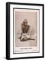 Mahatma Gandhi Indian Nationalist and Spiritual Leader-null-Framed Art Print