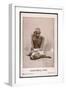 Mahatma Gandhi Indian Nationalist and Spiritual Leader-null-Framed Art Print