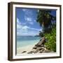 Mahe, Seychelles, Indian Ocean, Africa-Robert Harding-Framed Photographic Print