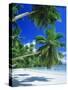 Mahe Seychelles-null-Stretched Canvas