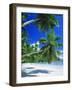 Mahe Seychelles-null-Framed Photographic Print