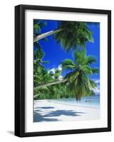 Mahe Seychelles-null-Framed Photographic Print
