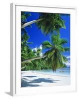 Mahe Seychelles-null-Framed Photographic Print