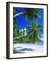 Mahe Seychelles-null-Framed Photographic Print