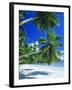 Mahe Seychelles-null-Framed Photographic Print