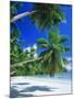 Mahe Seychelles-null-Mounted Photographic Print