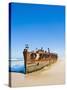 Maheno Shipwreck, Fraser Island, UNESCO World Heritage Site, Queensland, Australia, Pacific-Matthew Williams-Ellis-Stretched Canvas