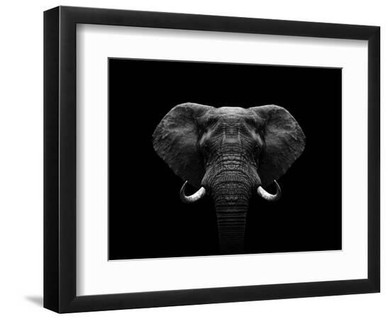 Photographic Print, , large