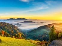 Landscape Black Forest Germany-Mahmoud Younes-Photographic Print